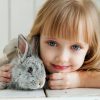 girl-lying-on-white-surface-petting-gray-rabbit-1462634